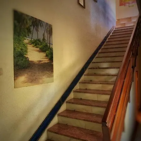 3 Papuci Гостевой дом