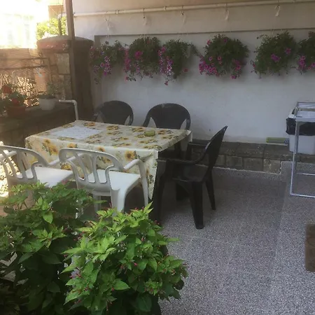3 Papuci Guest house *