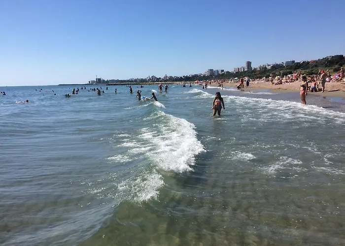 3 Papuci Guest house